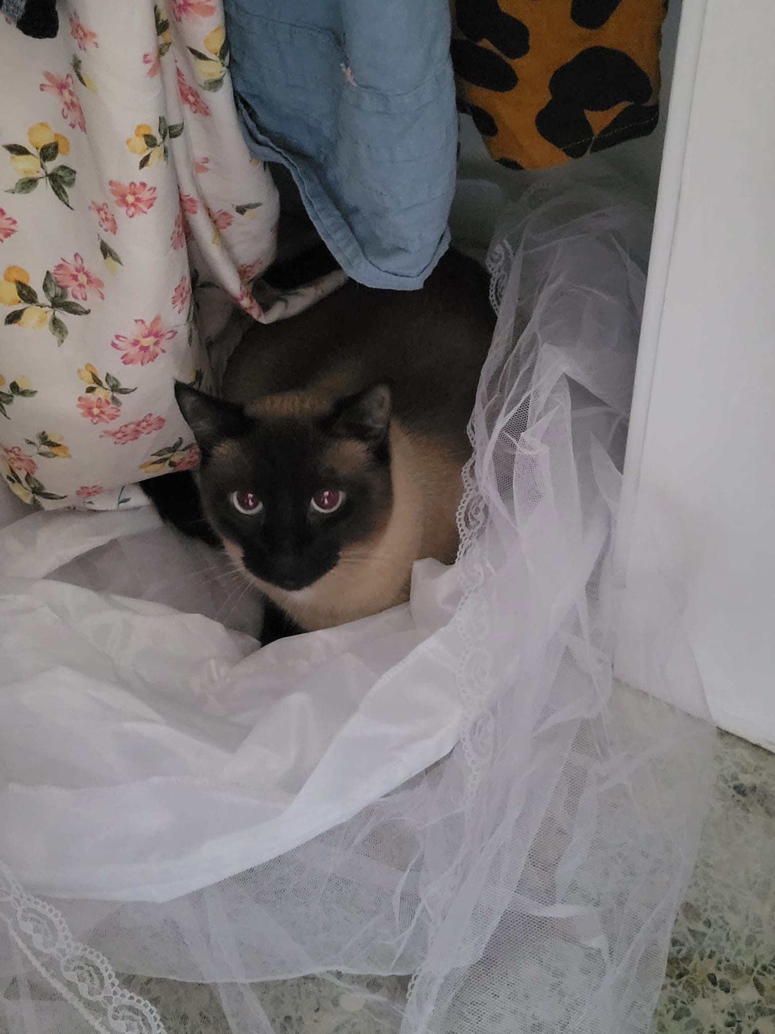 Melvin in the closet